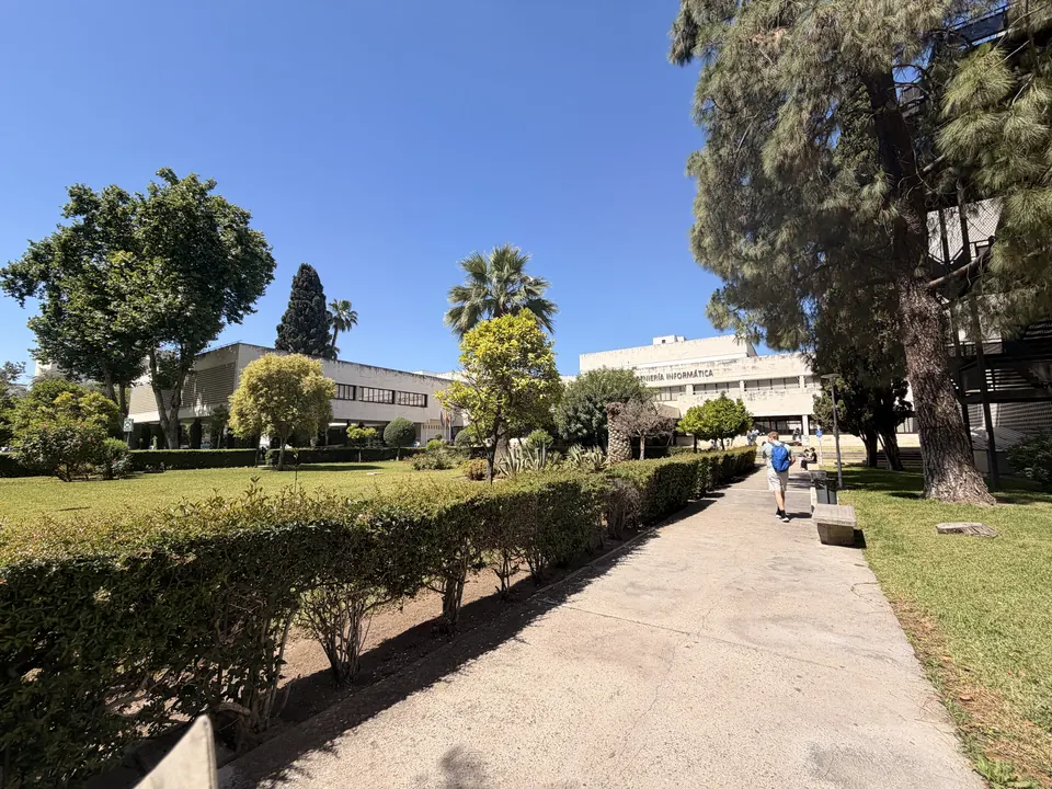 A garden path lined with hedges and trees leading to the School buildings